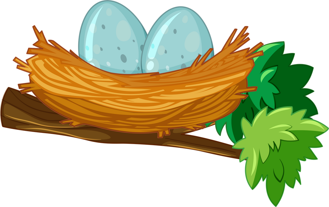 Two eggs in nest