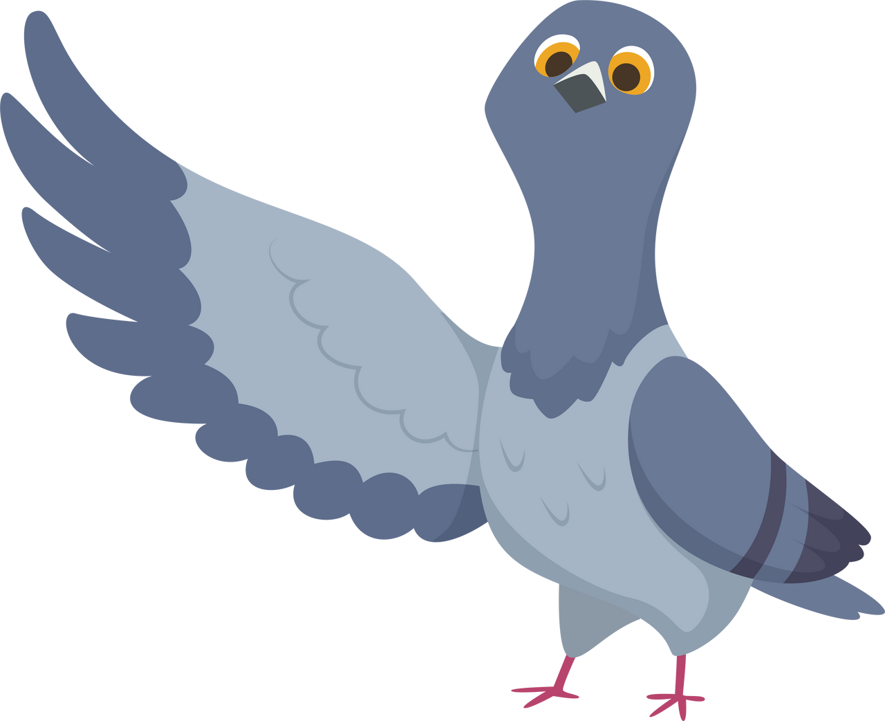 cartoon funny pigeons illustrations birds