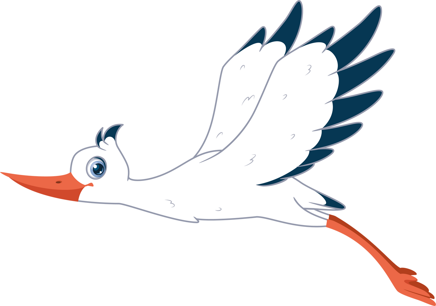 Illustration White Stork Flying