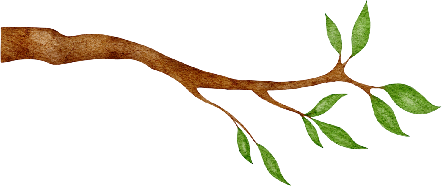 Illustration of a tree branch