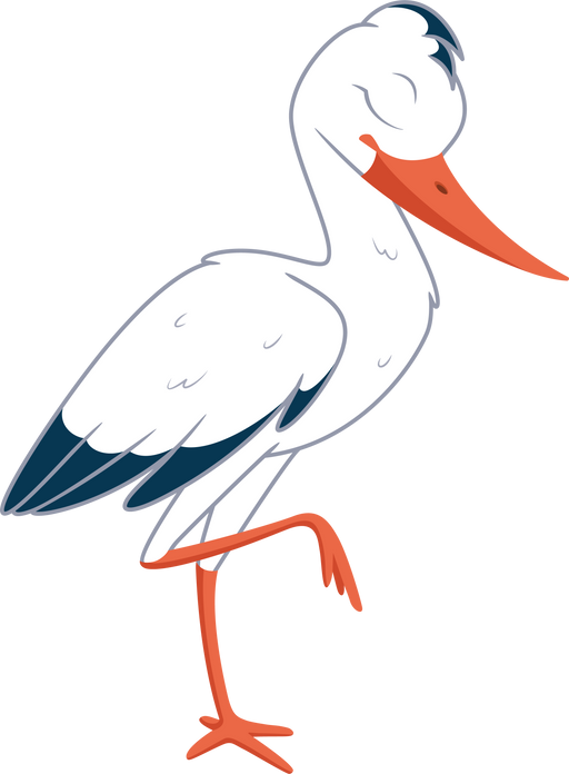 Illustration Cartoon Stork Sleeping on One Leg