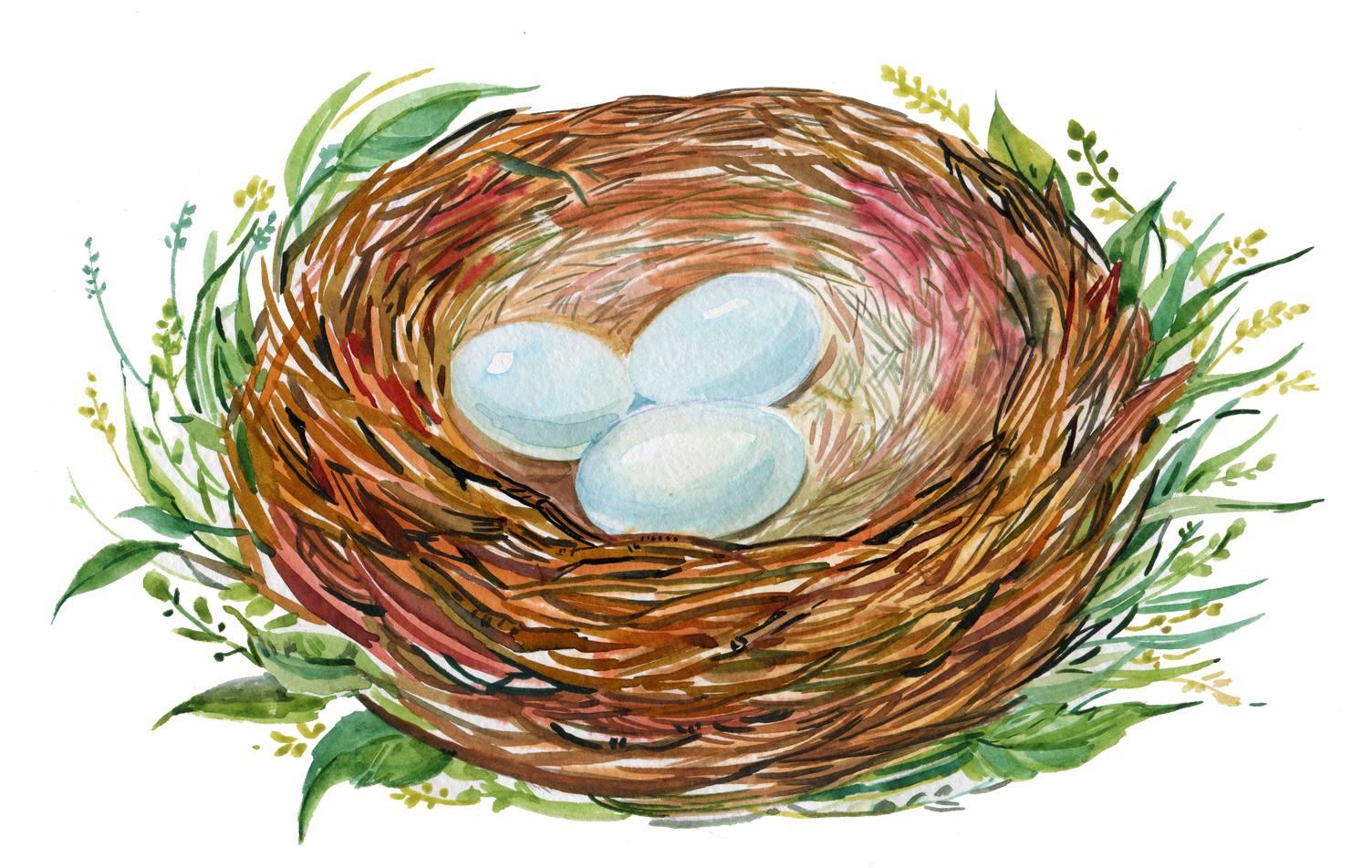 bird's nest watercolor