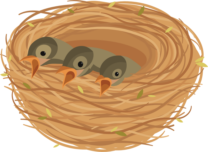 Cartoon birds nest with chicks. Nestling bird in nest.