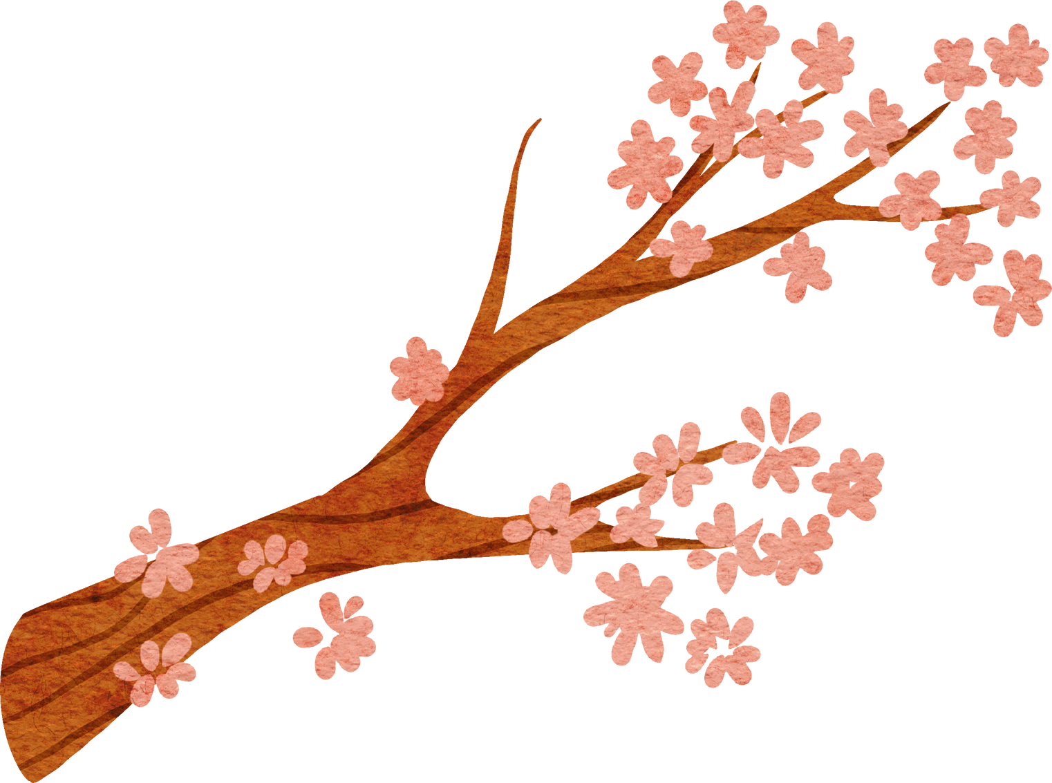 sakutra branch